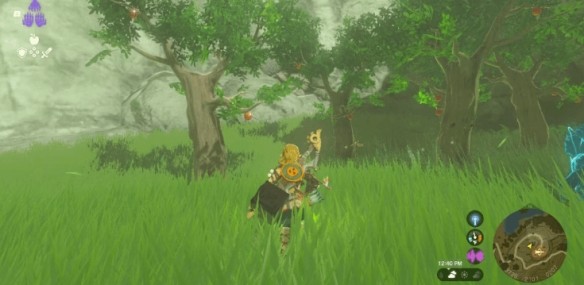 塞尔达传说王国之泪怪物怎么抓-怪物打法技巧分享