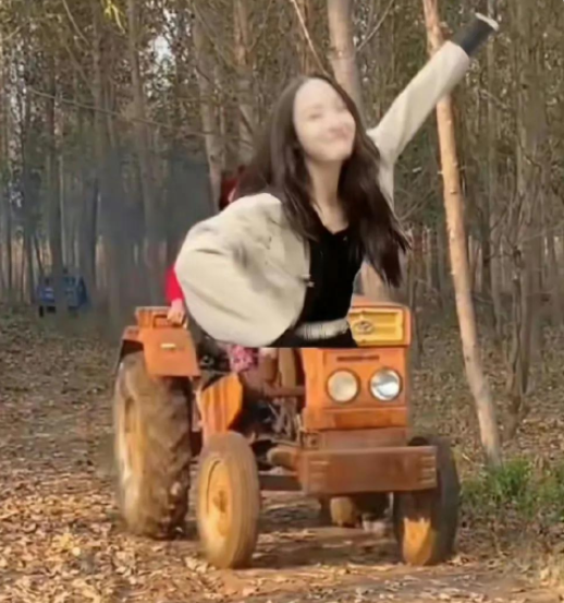 抖音李莎抡子是什么梗-李莎抡子梗意思及出处分享