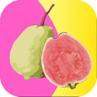 瓜子影视手机版下载地址