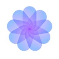 小蝌蚪旧版在线下载