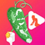 鉴黄师黄金版app下载安装