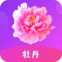 野草视频免费中文