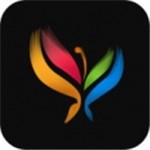 fp2水果派解说app