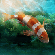 水族馆设计师_logo