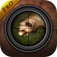 森林打猎Forest Hunting免费下载-森林打猎Forest Hunting安卓版v2.3